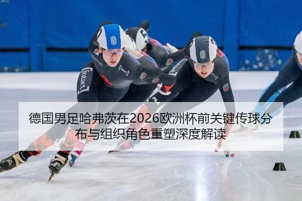 de-guo-nan-zu-ha-fu-ci-zai-ou-zhou-bei-qian-guan-jian-chuan-qiu-fen-bu-yu-zu-zhi-jue-se-zhong-su-shen-du-jie-du-2-797.jpg